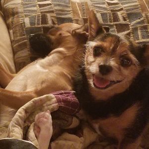 Meet your Posher, Alec